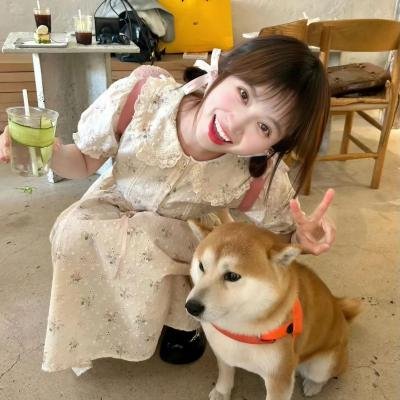 猪猪侠大电影·恐龙日记